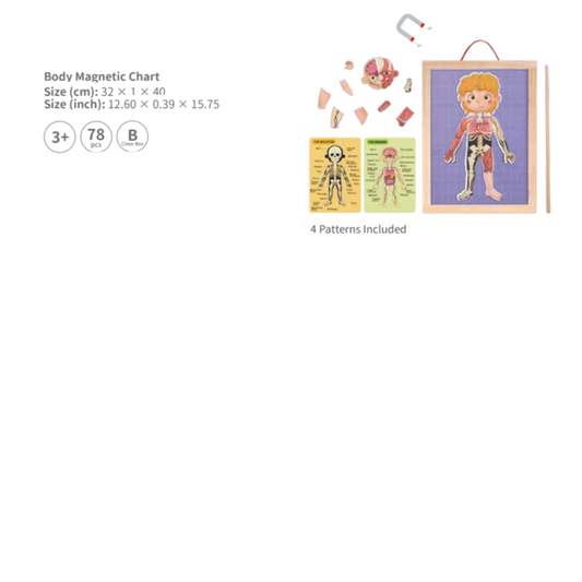 Body Magnetic Chart