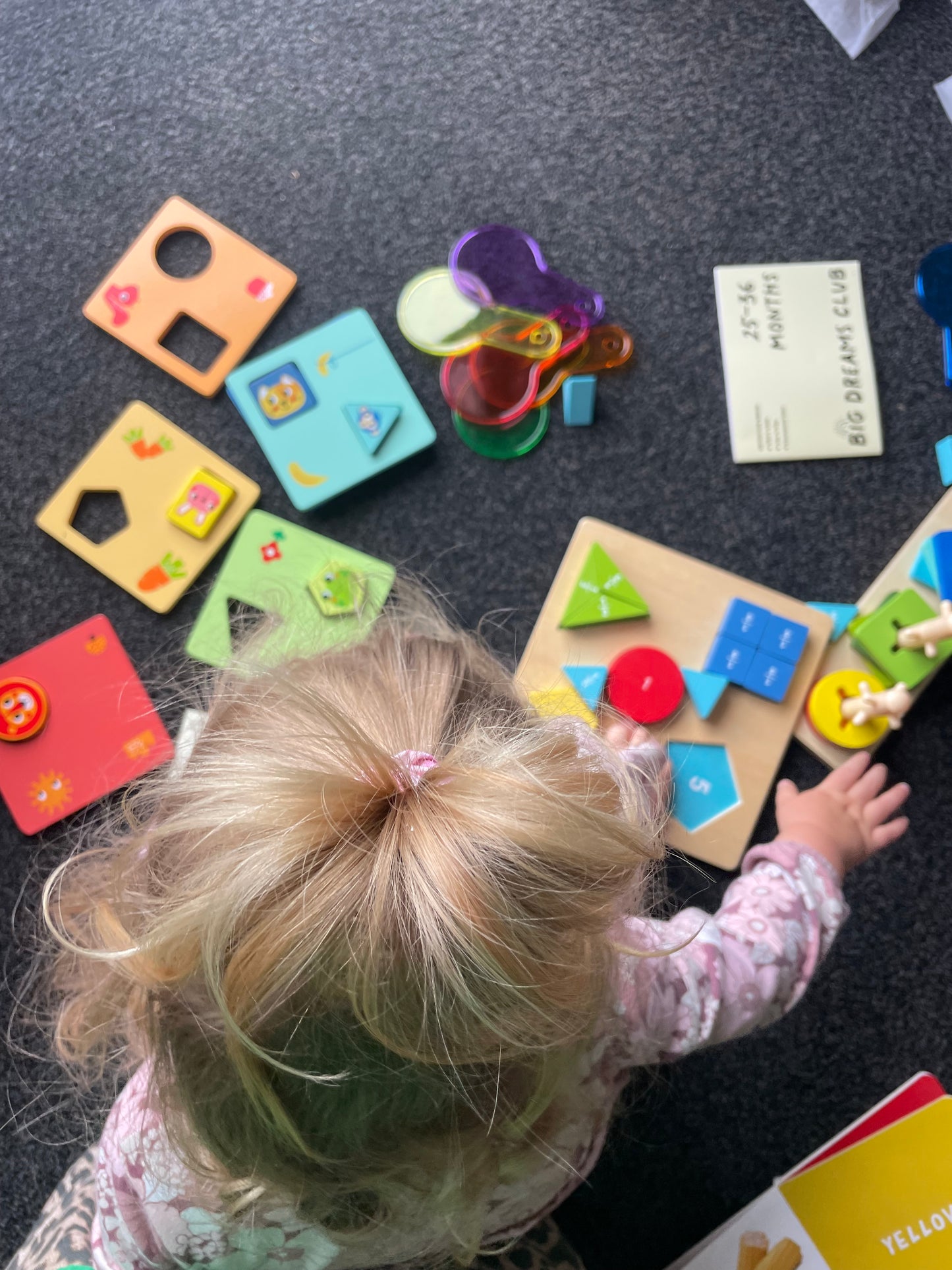 Educational Toy Bundle 25 to 36 months - The Pukeko Bundle