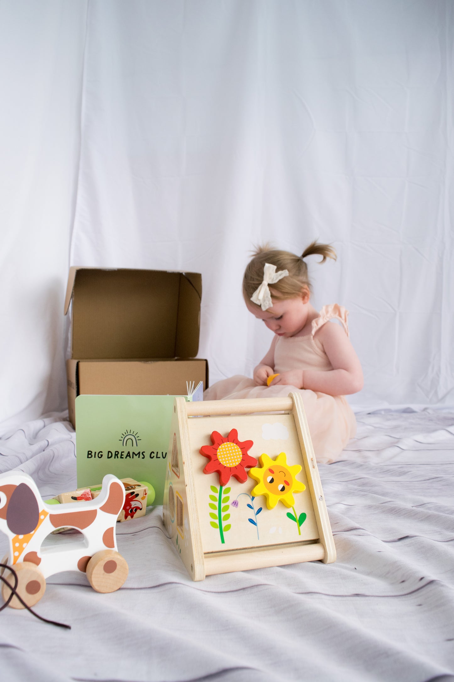 Educational Toy Bundle 19 to 24 months - The Kiwi Bundle