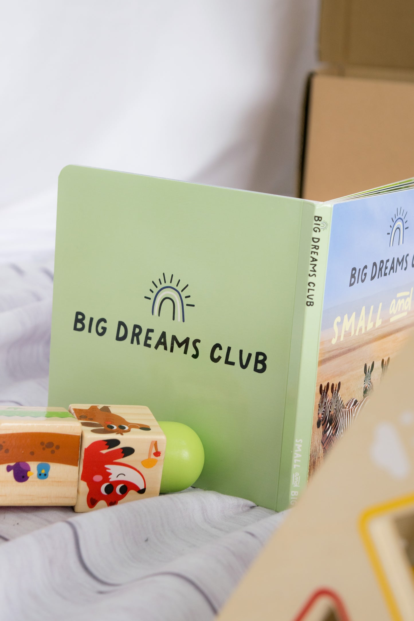 Educational Toy Bundle 19 to 24 months - The Kiwi Bundle